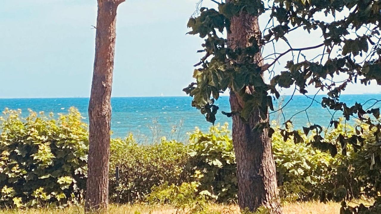 Haus Am Strand Бреґе Екстер'єр фото